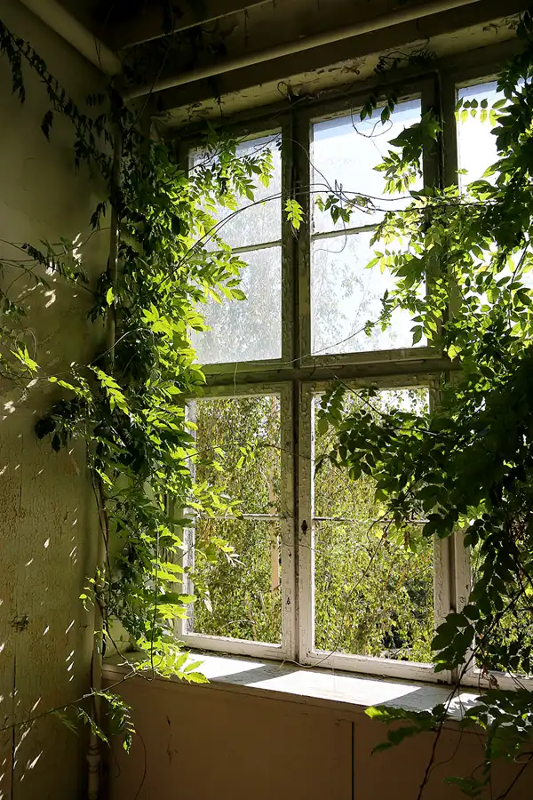 049 | 2020 | Bad Berka – OT München | Sophienheilstätte | © carsten riede fotografie