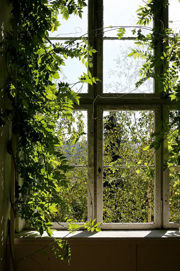 050 | 2020 | Bad Berka – OT München | Sophienheilstätte | © carsten riede fotografie