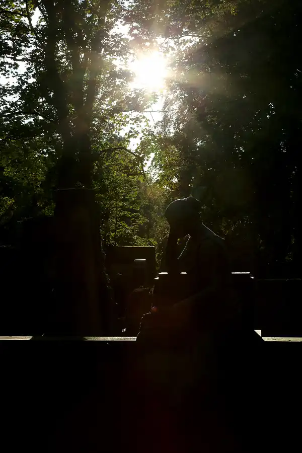 004 | 2020 | Weimar | Historischer Friedhof | © carsten riede fotografie