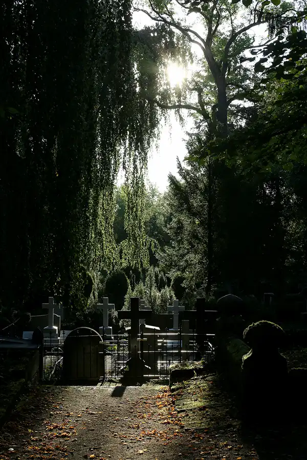 020 | 2020 | Weimar | Historischer Friedhof | © carsten riede fotografie