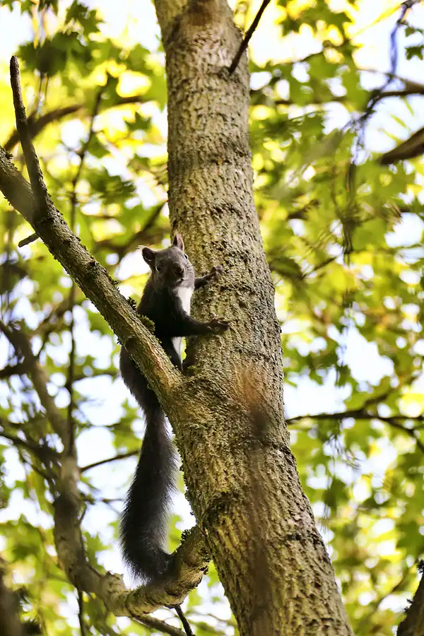 036 | 2020 | Weimar | Historischer Friedhof | © carsten riede fotografie