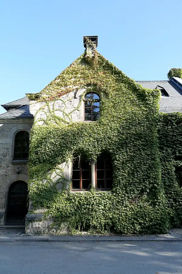 098 | 2020 | Weimar | Historischer Friedhof | © carsten riede fotografie