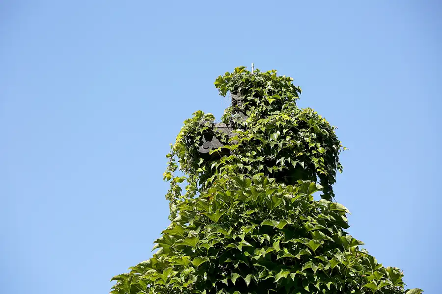 099 | 2020 | Weimar | Historischer Friedhof | © carsten riede fotografie