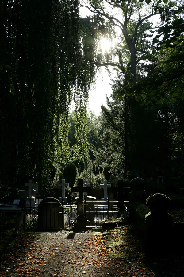 020 | 2020 | Weimar | Historischer Friedhof | © carsten riede fotografie