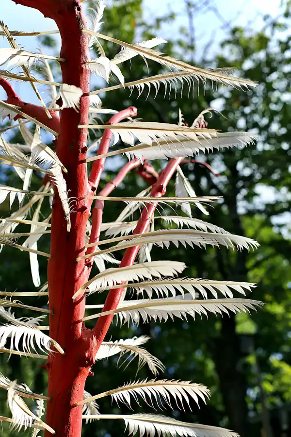 028 | 2020 | Kap Arkona | © carsten riede fotografie