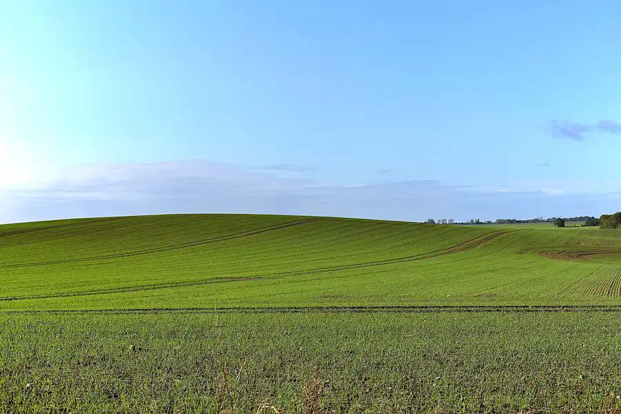 033 | 2020 | Kap Arkona | © carsten riede fotografie