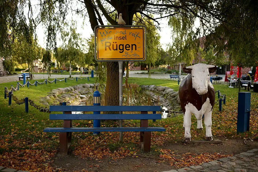 047 | 2020 | Putgarten | © carsten riede fotografie