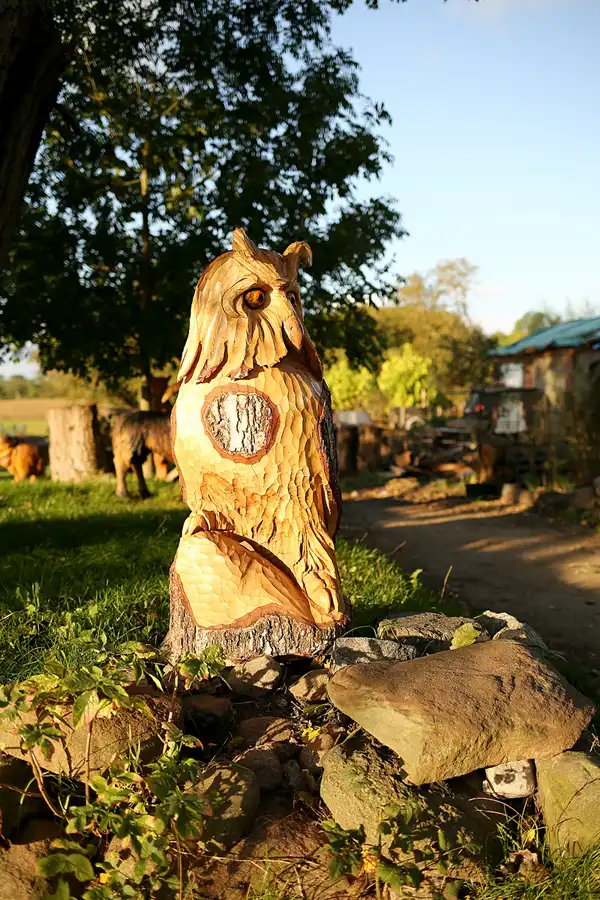 050 | 2020 | Putgarten | © carsten riede fotografie