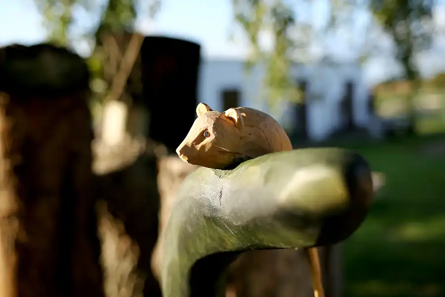 052 | 2020 | Putgarten | © carsten riede fotografie