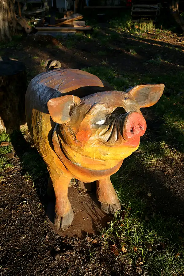 054 | 2020 | Putgarten | © carsten riede fotografie