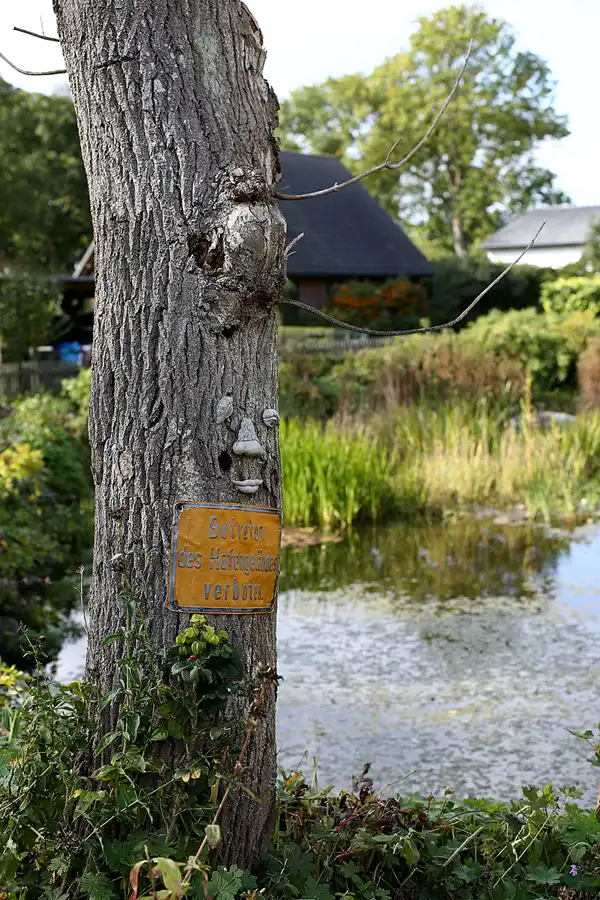 064 | 2020 | Putgarten | © carsten riede fotografie