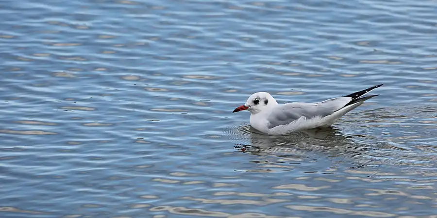 094 | 2020 | Glowe | © carsten riede fotografie
