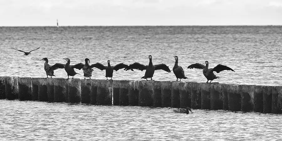 095 | 2020 | Glowe | © carsten riede fotografie