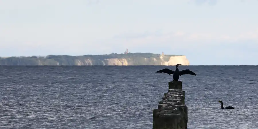 097 | 2020 | Glowe | Blick nach Kap Arkona | © carsten riede fotografie