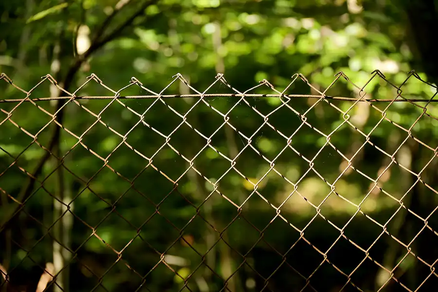 115 | 2020 | Sassnitz | Dwasieden | © carsten riede fotografie