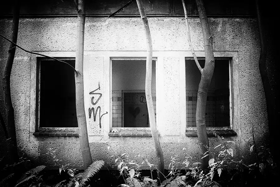 120 | 2020 | Sassnitz | Dwasieden | © carsten riede fotografie