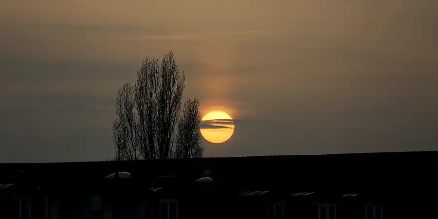 017 | 2021 | Berlin | © carsten riede fotografie