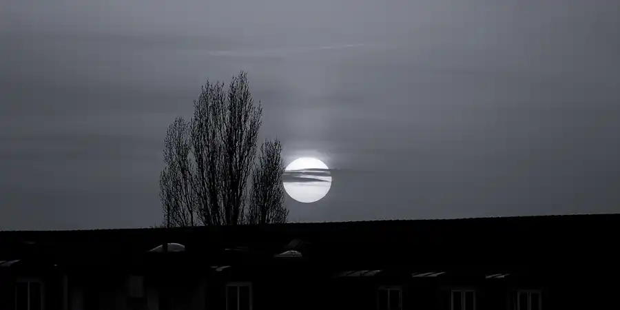 018 | 2021 | Berlin | © carsten riede fotografie