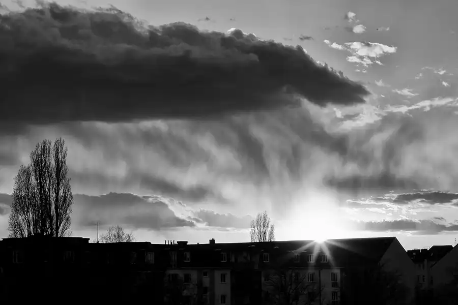 024 | 2021 | Berlin | © carsten riede fotografie