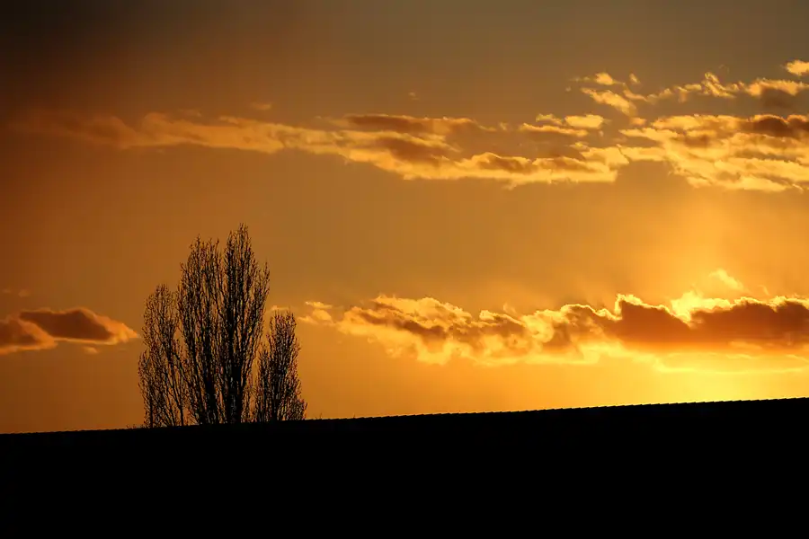 026 | 2021 | Berlin | © carsten riede fotografie