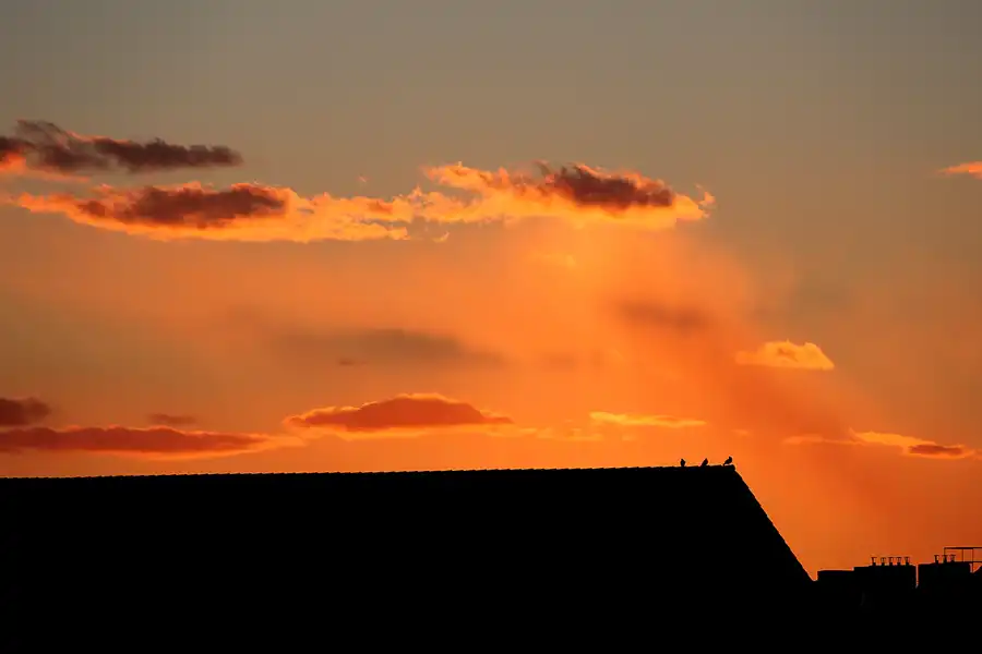 027 | 2021 | Berlin | © carsten riede fotografie