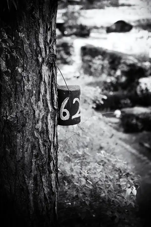 049 | 2021 | Berlin | Friedhof Steglitz | © carsten riede fotografie