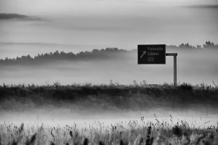 130 | 2021 | Freiwalde | © carsten riede fotografie