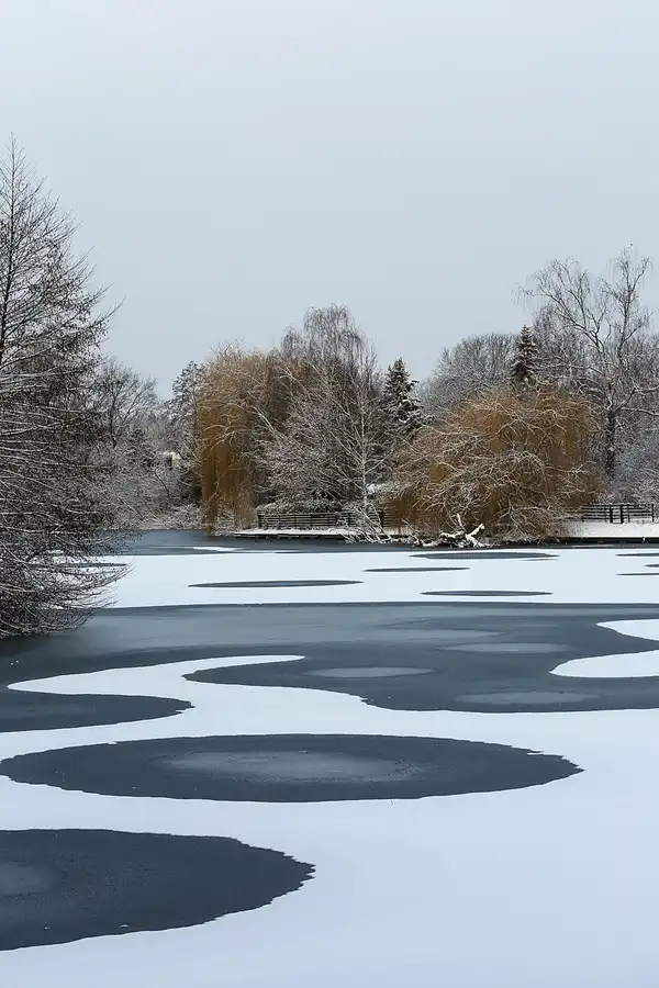 002 | 2021 | Berlin | Obersee-Orankesee-Park | © carsten riede fotografie