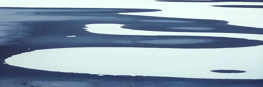 003 | 2021 | Berlin | Obersee-Orankesee-Park | © carsten riede fotografie