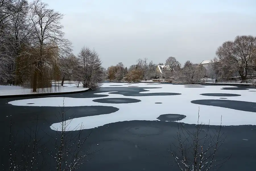 004 | 2021 | Berlin | Obersee-Orankesee-Park | © carsten riede fotografie