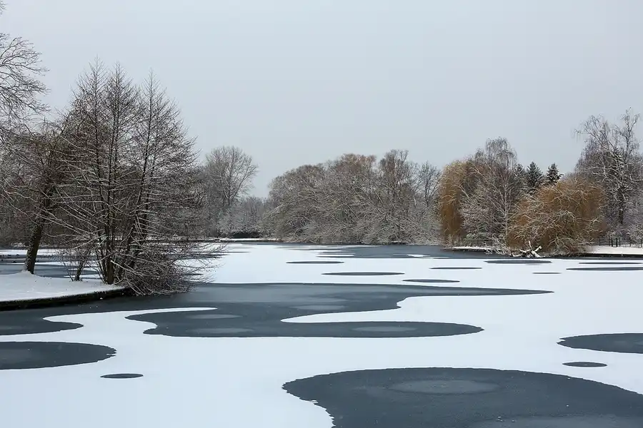 005 | 2021 | Berlin | Obersee-Orankesee-Park | © carsten riede fotografie