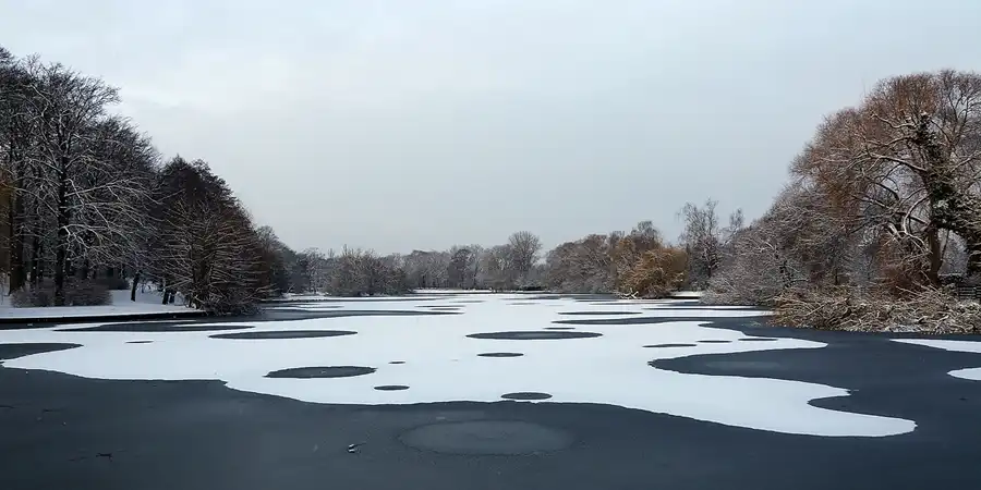 006 | 2021 | Berlin | Obersee-Orankesee-Park | © carsten riede fotografie