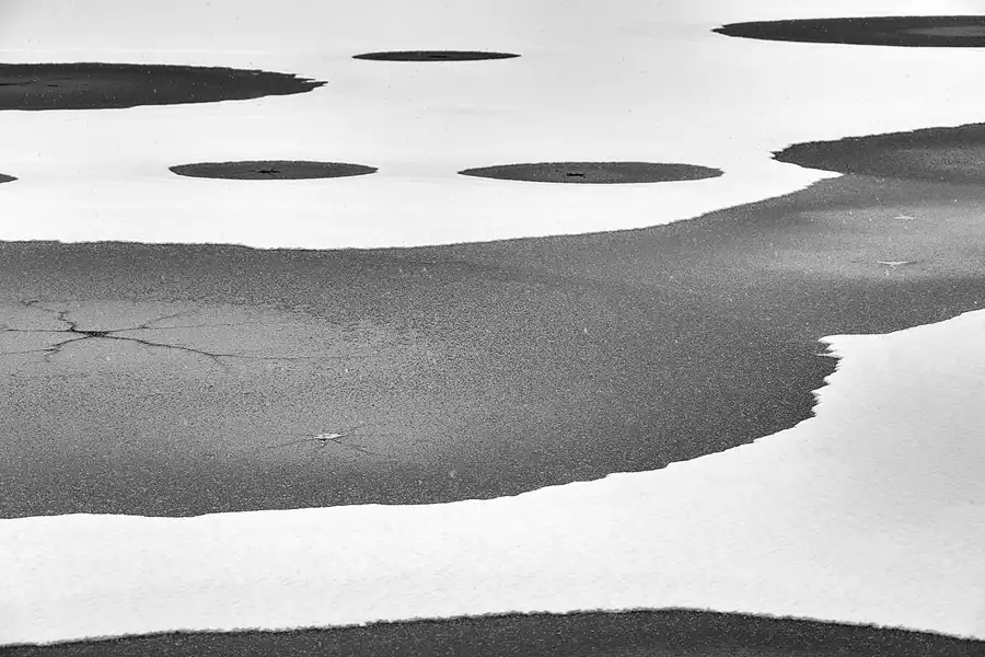 007 | 2021 | Berlin | Obersee-Orankesee-Park | © carsten riede fotografie