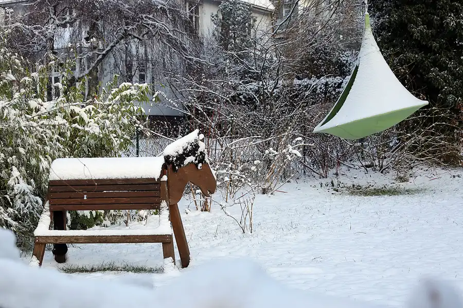 011 | 2021 | Berlin | Obersee-Orankesee-Park | © carsten riede fotografie