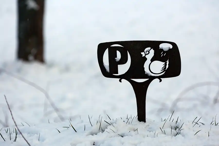 013 | 2021 | Berlin | Obersee-Orankesee-Park | © carsten riede fotografie