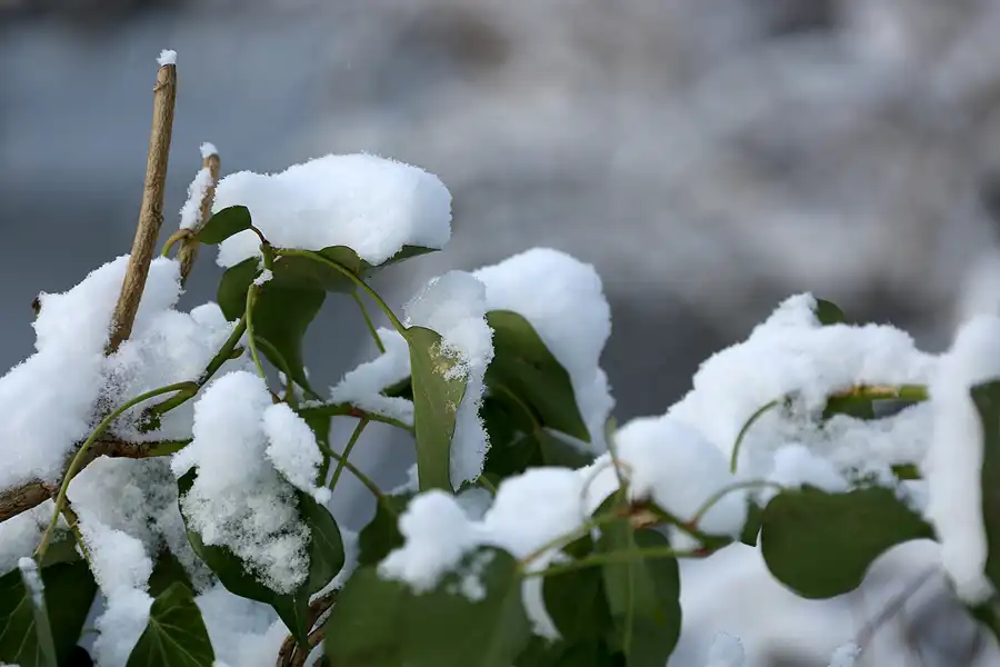 014 | 2021 | Berlin | Obersee-Orankesee-Park | © carsten riede fotografie