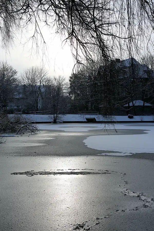 015 | 2021 | Berlin | Obersee-Orankesee-Park | © carsten riede fotografie