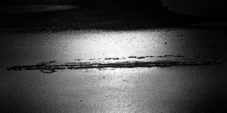 016 | 2021 | Berlin | Obersee-Orankesee-Park | © carsten riede fotografie