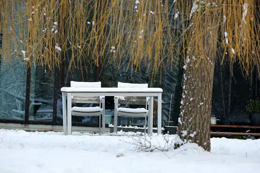 017 | 2021 | Berlin | Obersee-Orankesee-Park | © carsten riede fotografie