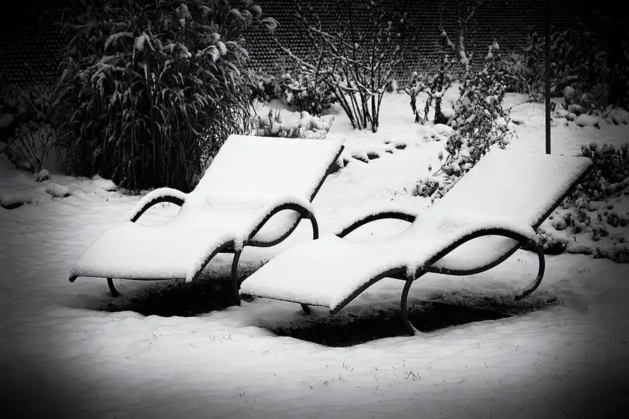 019 | 2021 | Berlin | Obersee-Orankesee-Park | © carsten riede fotografie