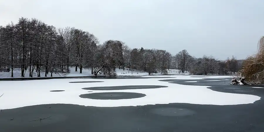 020 | 2021 | Berlin | Obersee-Orankesee-Park | © carsten riede fotografie
