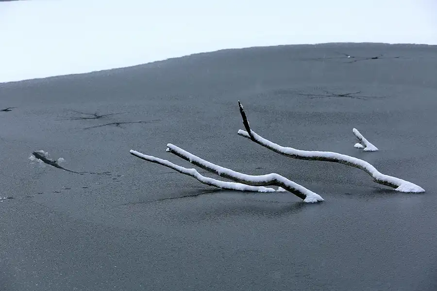 023 | 2021 | Berlin | Obersee-Orankesee-Park | © carsten riede fotografie