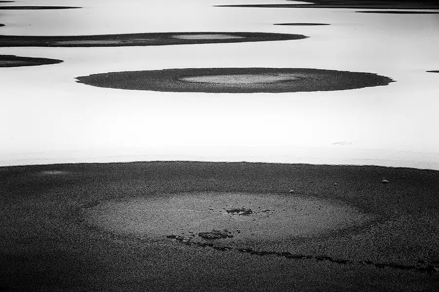 025 | 2021 | Berlin | Obersee-Orankesee-Park | © carsten riede fotografie