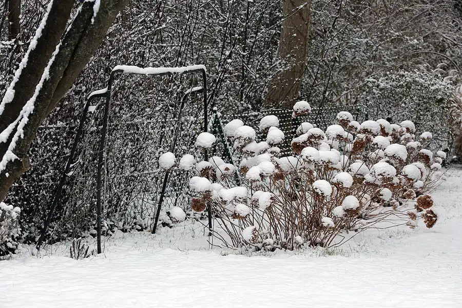 028 | 2021 | Berlin | Obersee-Orankesee-Park | © carsten riede fotografie