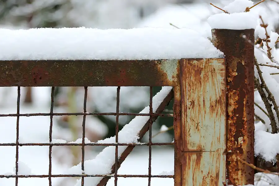 029 | 2021 | Berlin | Obersee-Orankesee-Park | © carsten riede fotografie