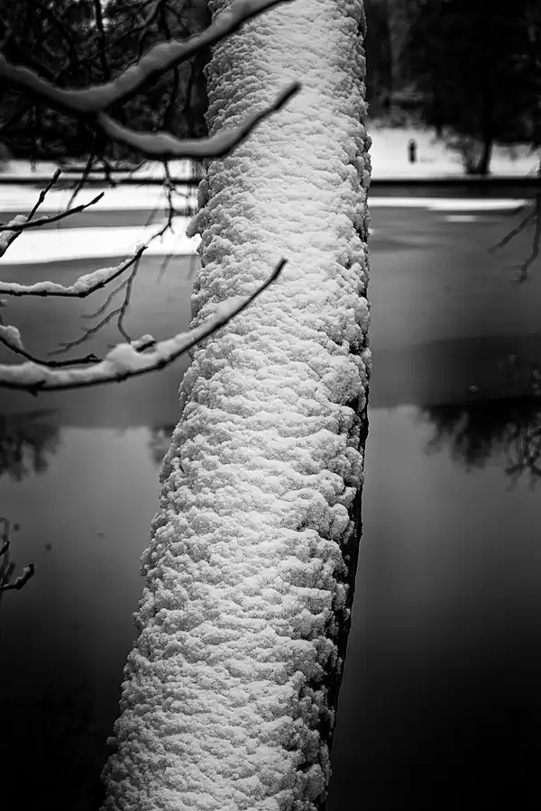 032 | 2021 | Berlin | Obersee-Orankesee-Park | © carsten riede fotografie