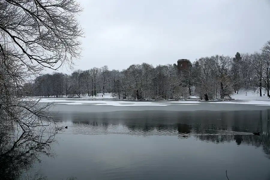 033 | 2021 | Berlin | Obersee-Orankesee-Park | © carsten riede fotografie