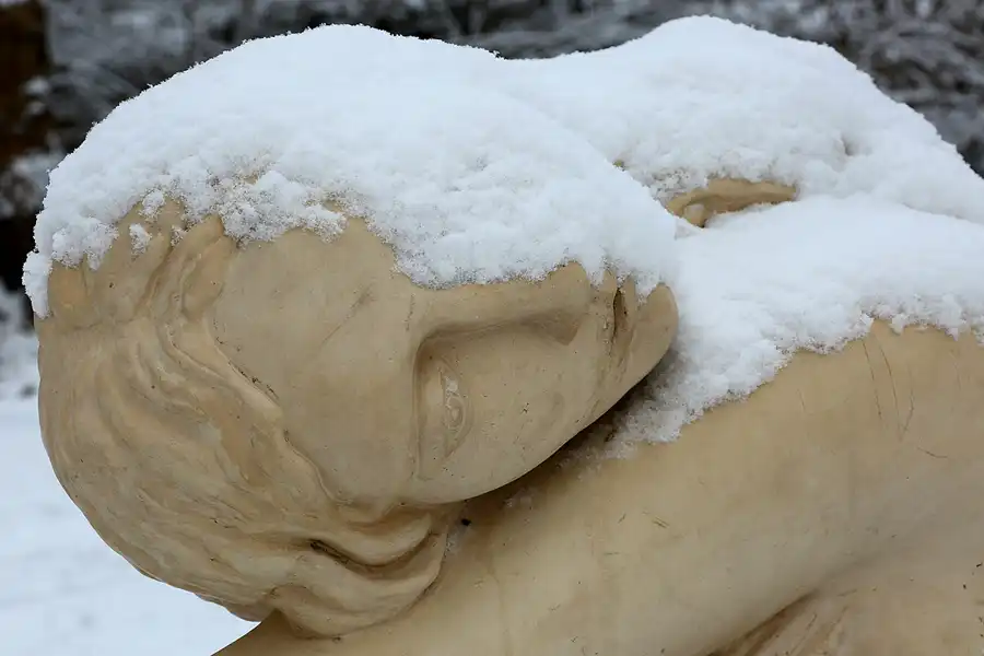 037 | 2021 | Berlin | Obersee-Orankesee-Park | © carsten riede fotografie