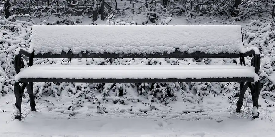 040 | 2021 | Berlin | Obersee-Orankesee-Park | © carsten riede fotografie
