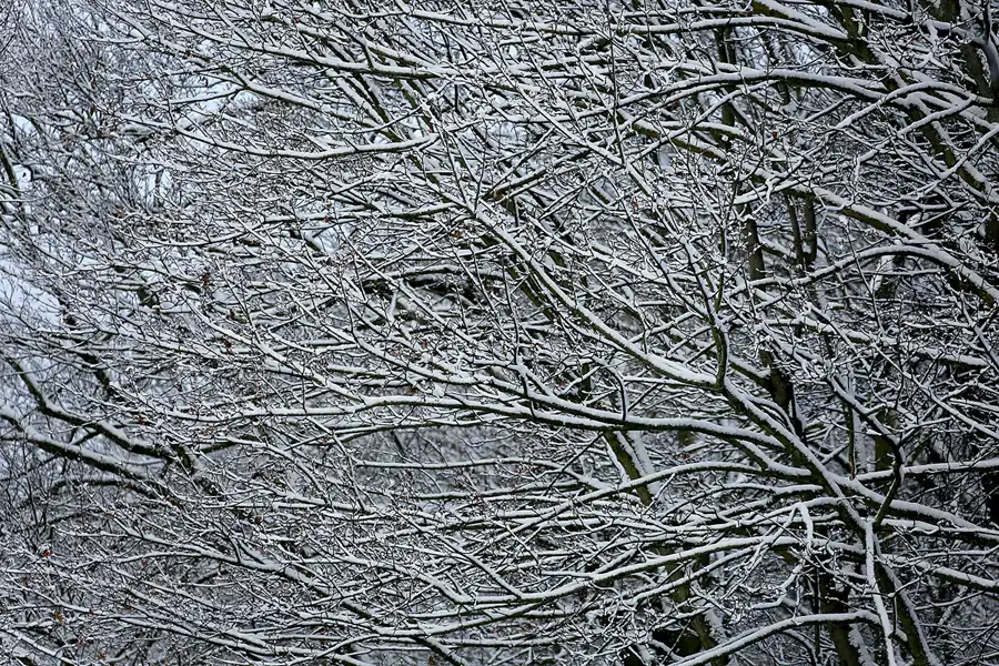 046 | 2021 | Berlin | Obersee-Orankesee-Park | © carsten riede fotografie
